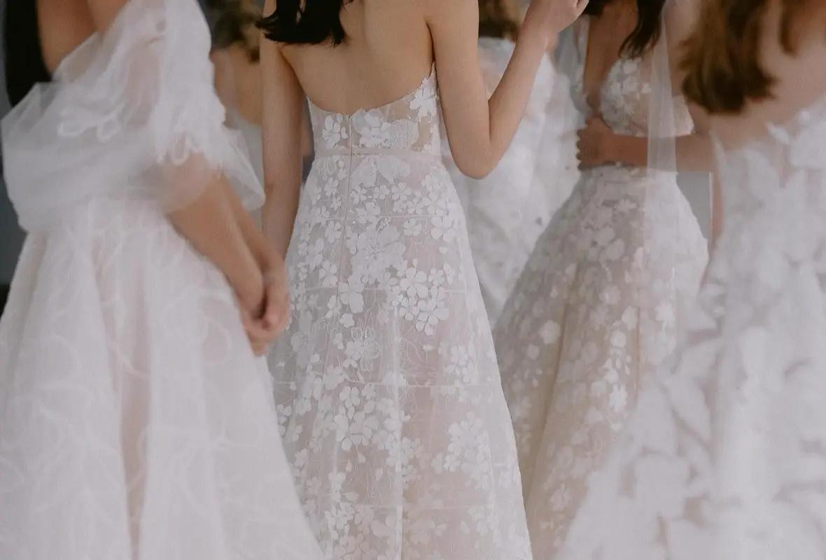 Image of models in wedding dresses